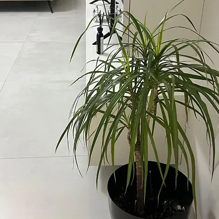 La Perle Urbaine Apartmán *